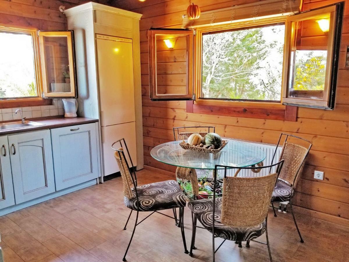 Willa Luxury Wooden With Pool, The Nest